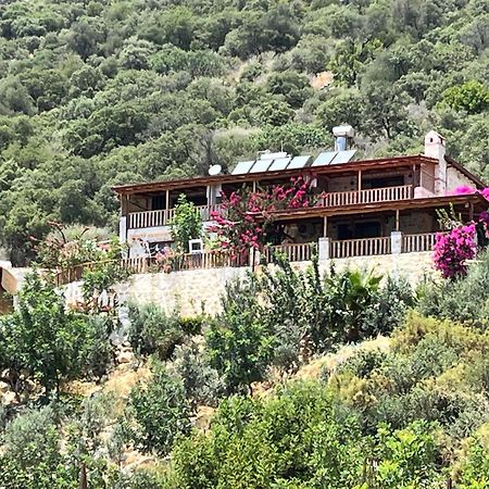 Kapaklı Istlada Tas Ev Apart - Kekova View מראה חיצוני תמונה